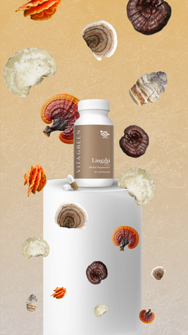 E-commerce ad for mushroom supplement